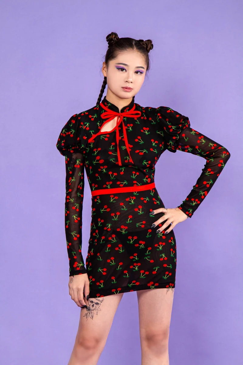 Chinese Style Print Cherry Tight Mesh Dress DR022