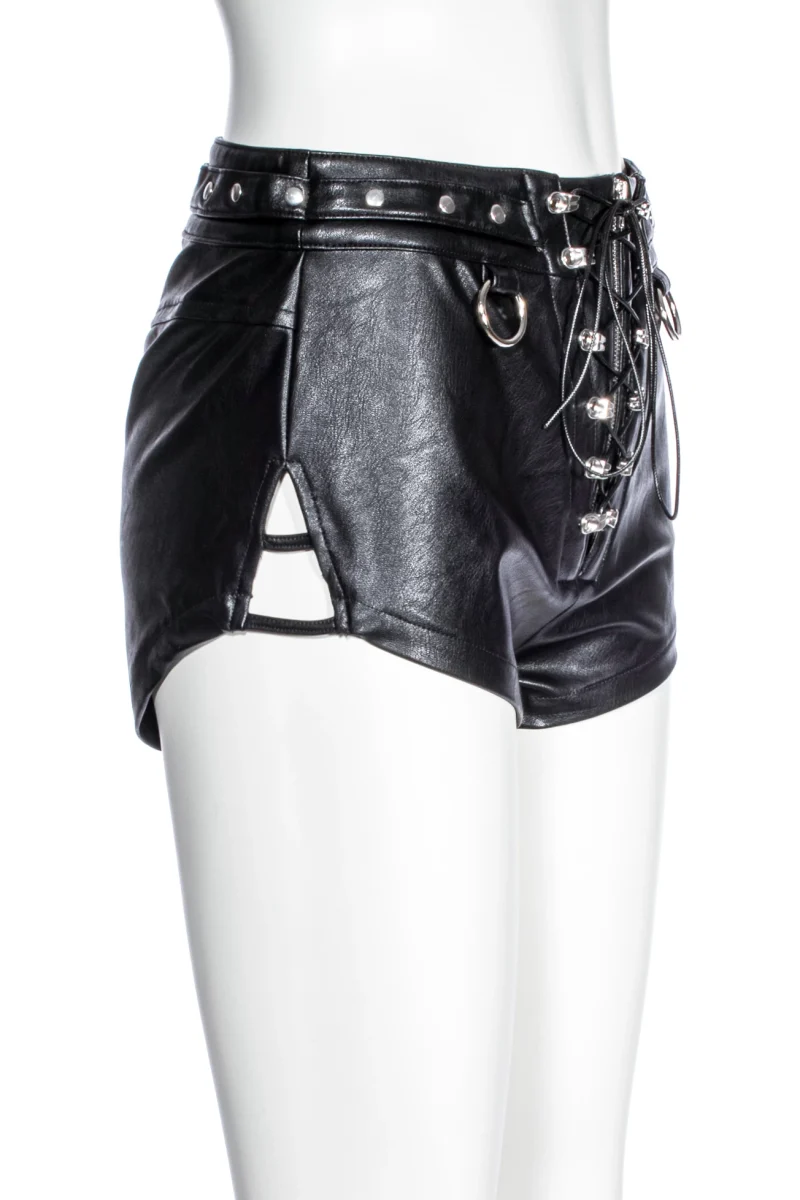 SS005 3