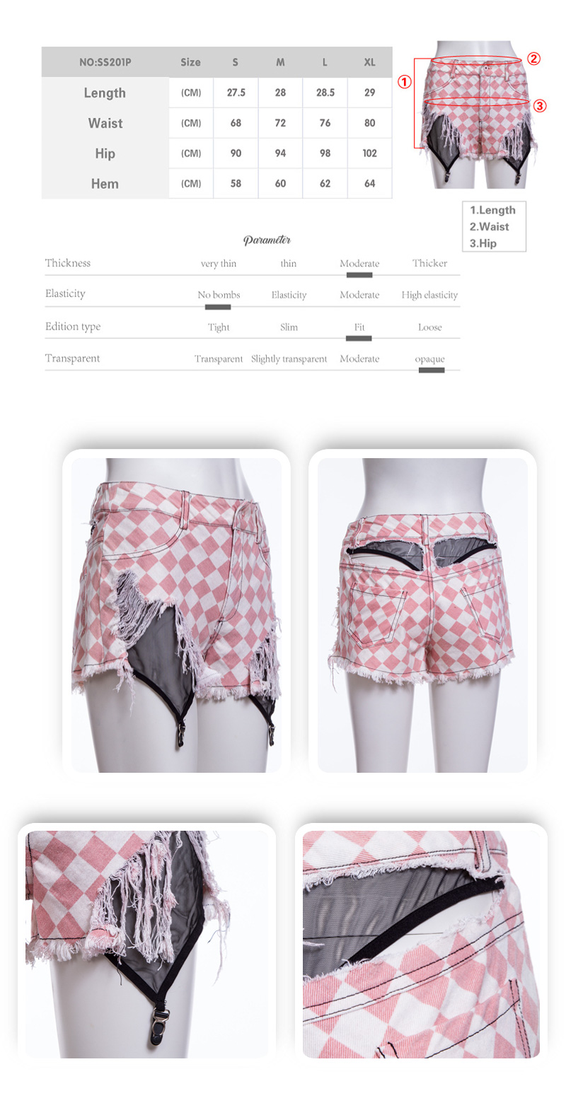 SS201P L2